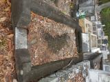 image of grave number 835315